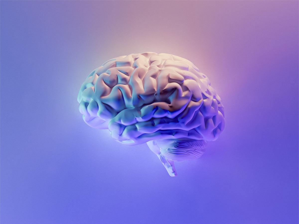 Neuroscience made simple(ish)